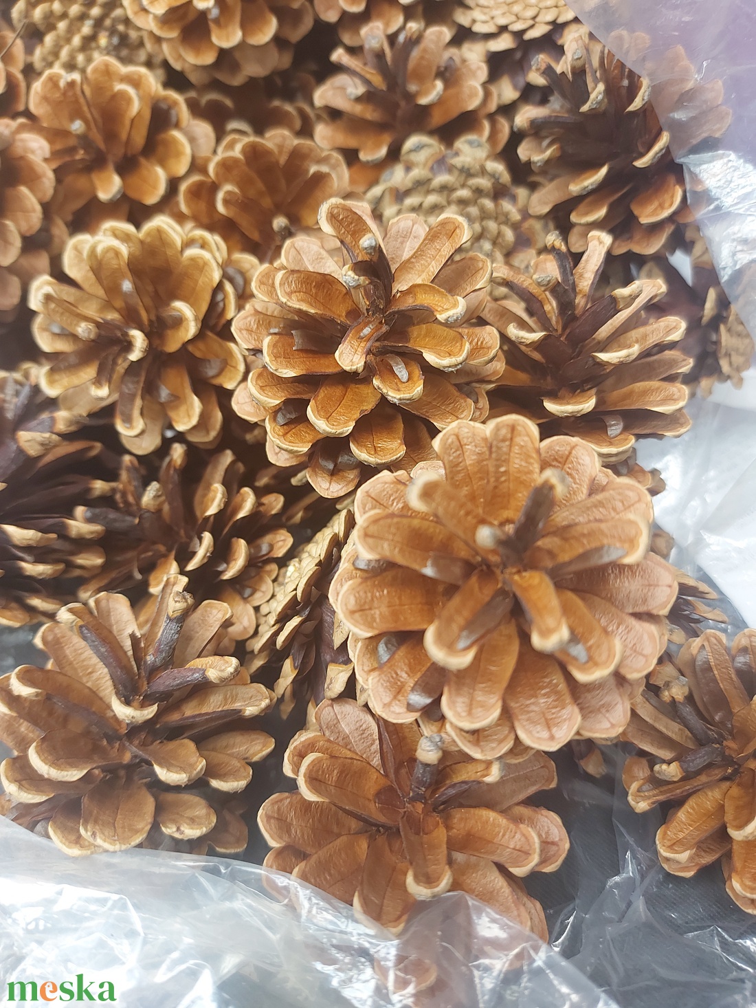 Toboz  10db/csomag dekorációhoz - kellékek & szerszámok - dekorációs kellékek - toboz - Meska.hu