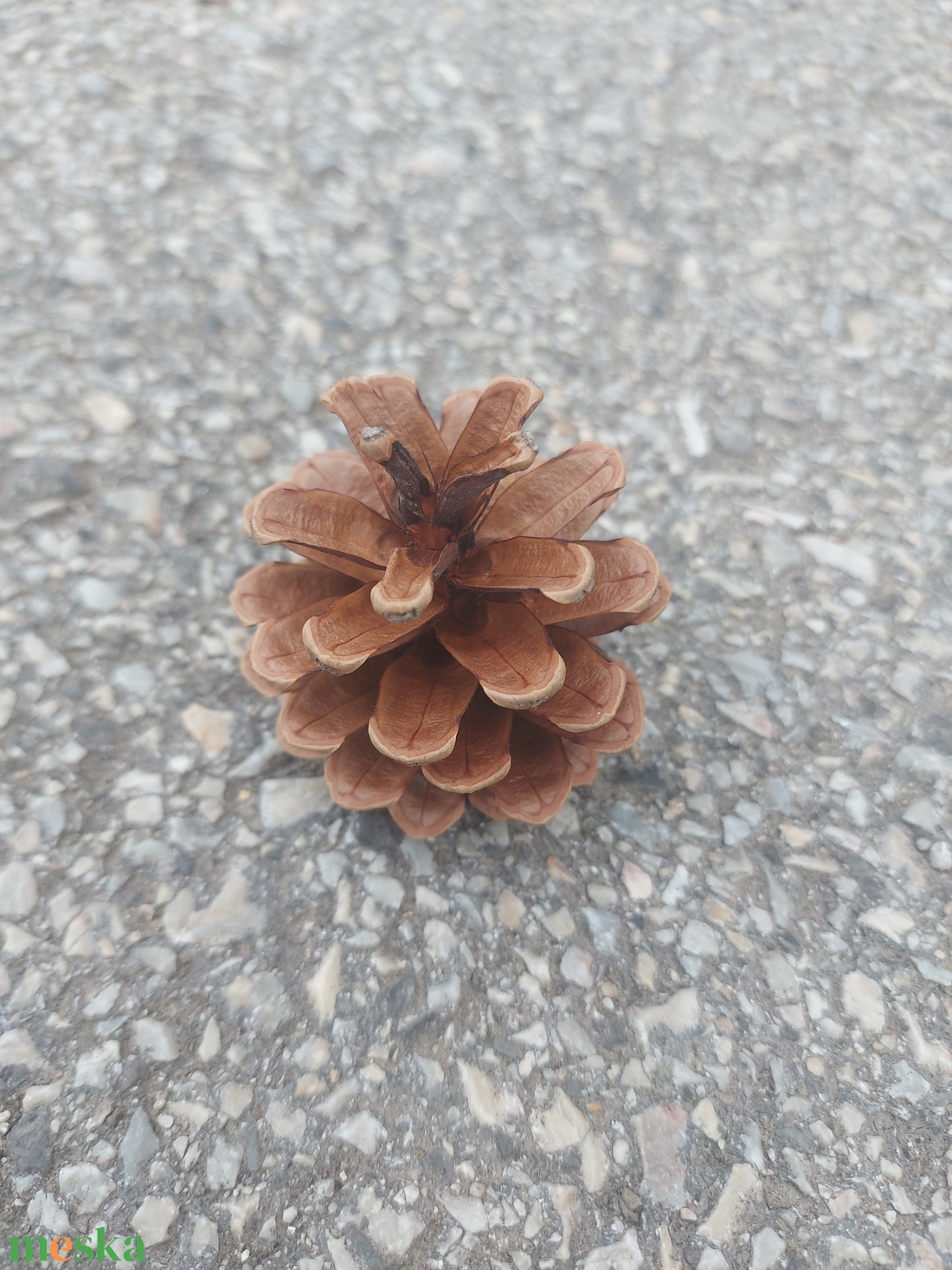 Toboz  10db/csomag dekorációhoz - kellékek & szerszámok - dekorációs kellékek - toboz - Meska.hu