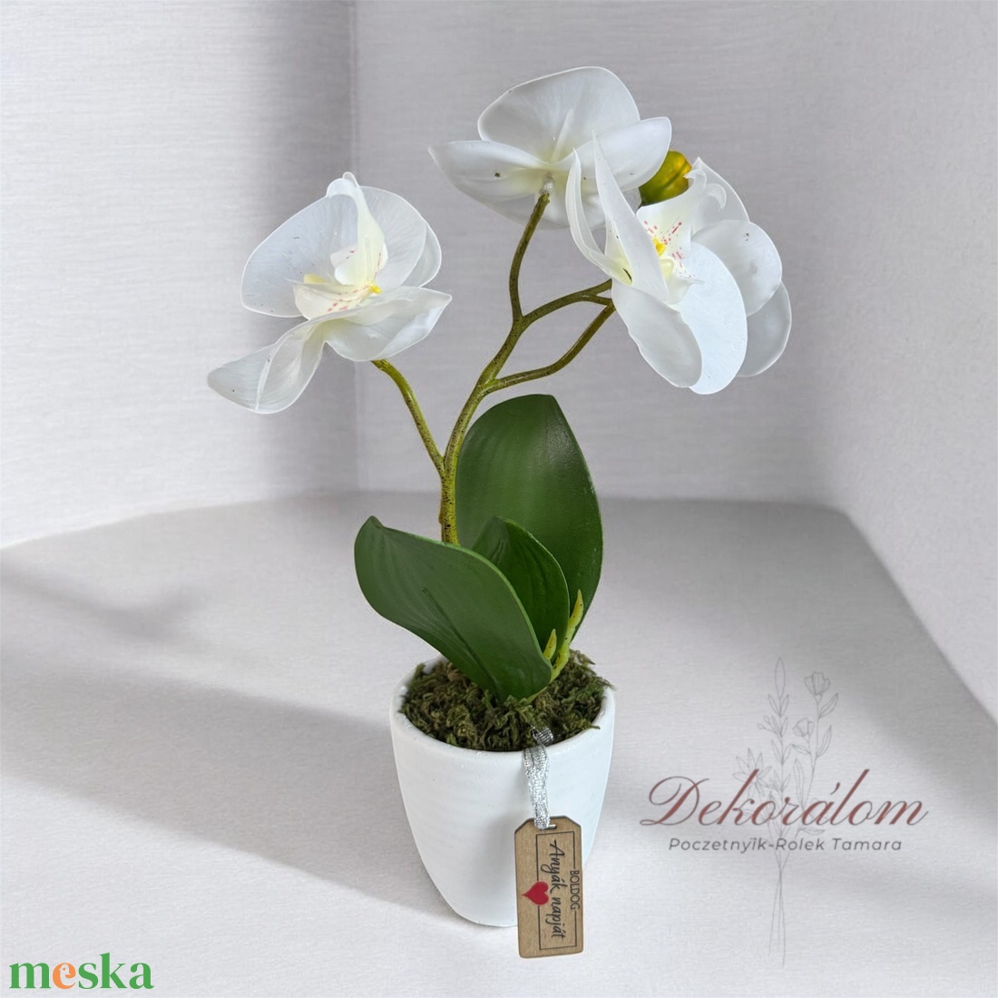 Gondozásmentes orchidea - otthon & életmód - virágdekoráció - virágdíszek - virágdísz kaspóban - Meska.hu