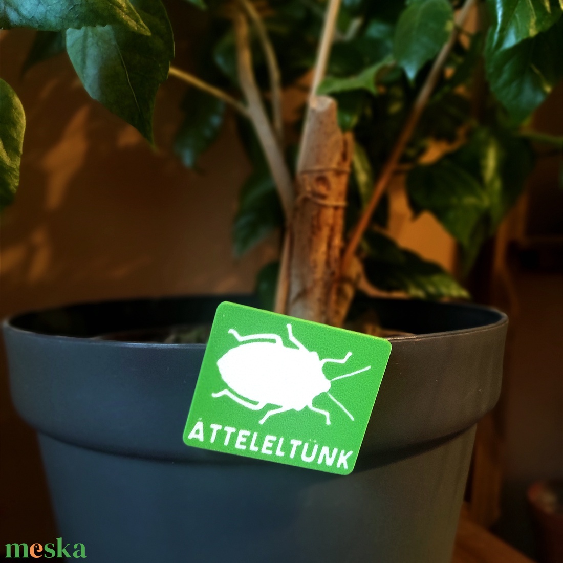 Poloska hűtőmágnes/kulcstartó/kitűző � Átteleltünk - otthon & életmód - konyhafelszerelés, tálalás - konyhai dekoráció - hűtőmágnes - Meska.hu