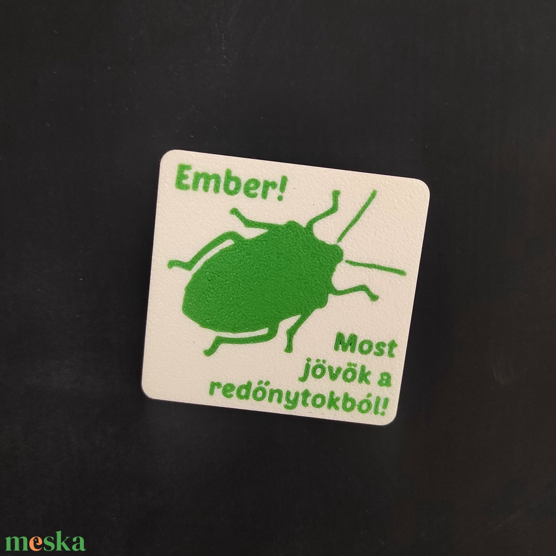 Ember! Most jövök a redőnytokból! - Poloska hűtőmágnes - otthon & életmód - konyhafelszerelés, tálalás - konyhai dekoráció - hűtőmágnes - Meska.hu