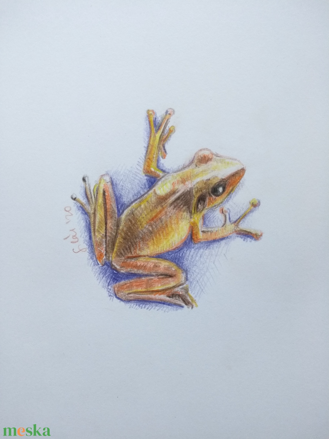 Béka - művészet - grafika & illusztráció - ceruzarajz - Meska.hu Béka - művészet - grafika & illusztráció - ceruzarajz - Meska.hu