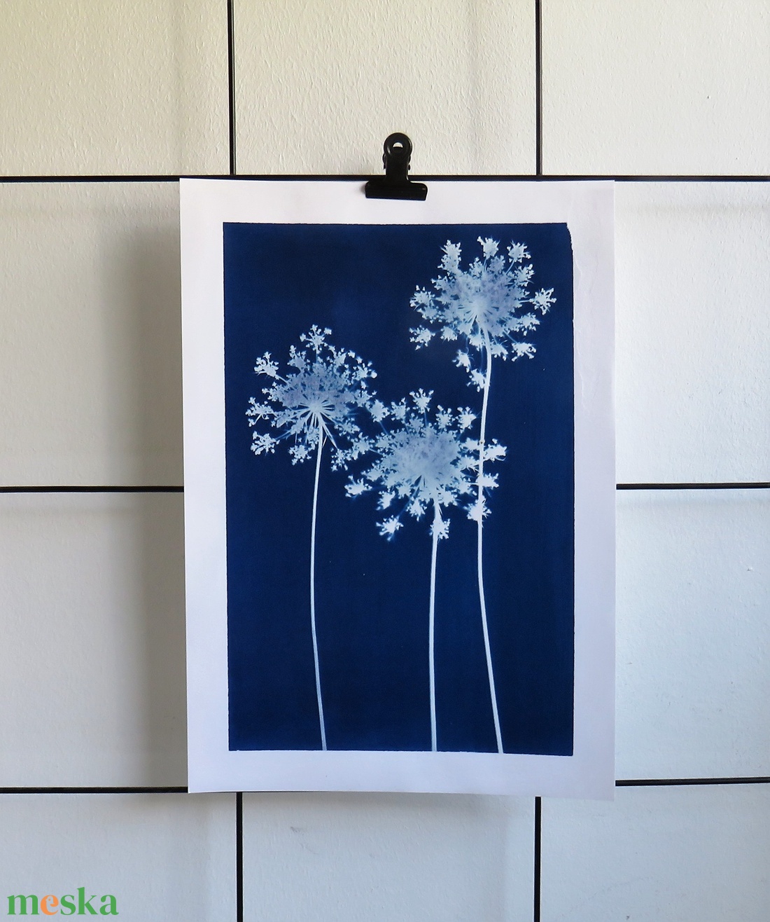 Cianotípia nyomat - Daucus carota, A4-es méretben - művészet - fotográfia - természetfotó - Meska.hu