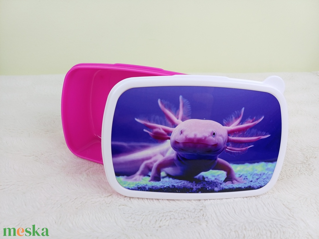 Vidám uzsidoboz, uzsonnás doboz, axolotl - táska & tok - uzsonna- & ebéd tartó - ebéd tasak, doboz - Meska.hu Vidám uzsidoboz, uzsonnás doboz, axolotl - táska & tok - uzsonna- & ebéd tartó - ebéd tasak, doboz - Meska.hu