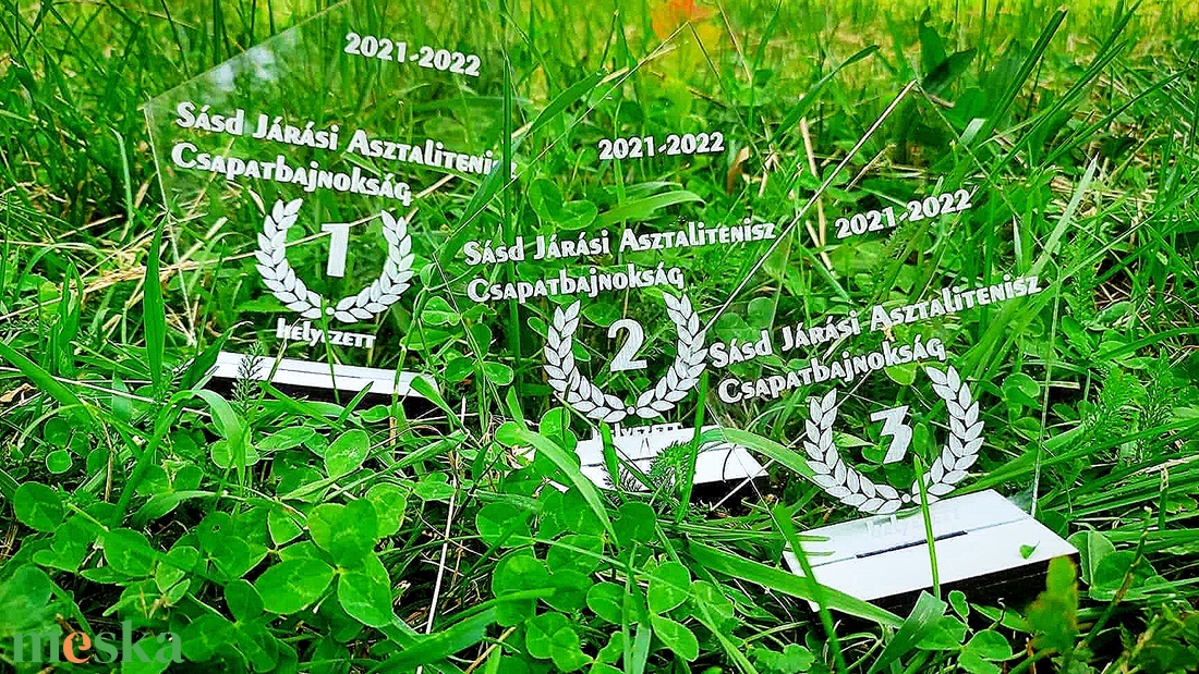 Sport díj víztiszta plexiből fa talppal - játék & sport - sport és kikapcsolódás - más játékok, sportok - Meska.hu