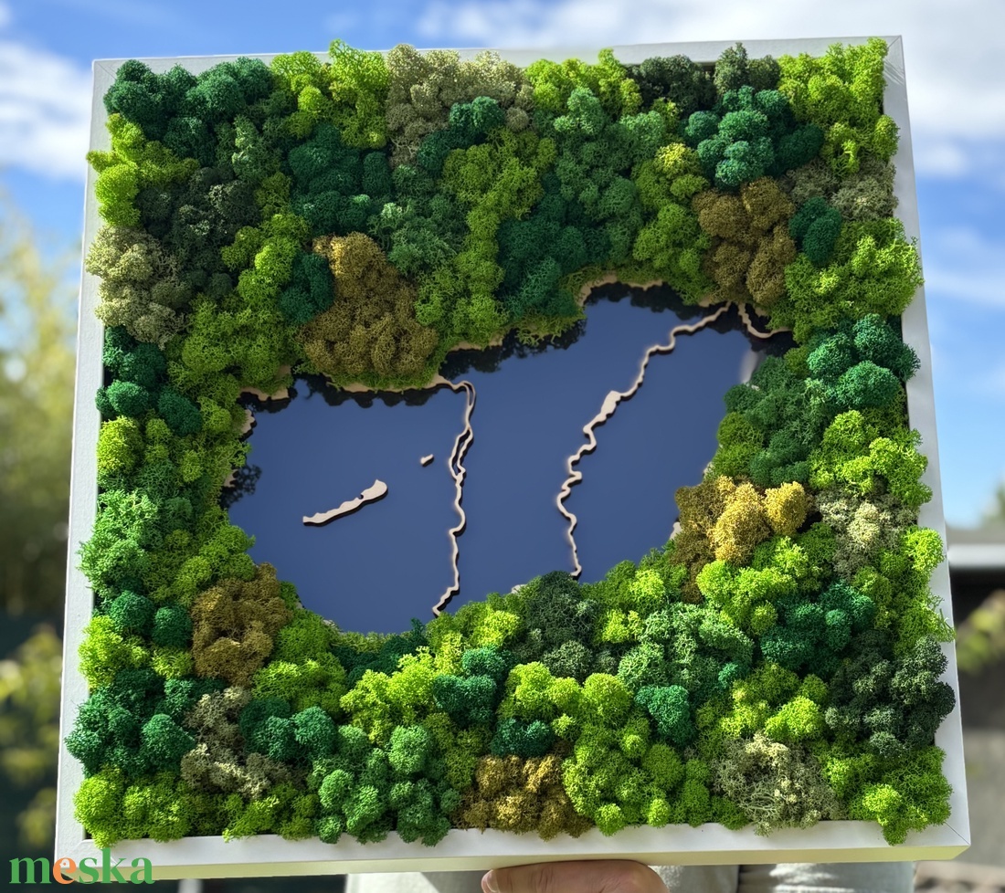Gondozásmentes moha kép, Magyarország -  50x50cm - otthon & életmód - dekoráció - fali és függő dekoráció - zuzmókép, mohakép - Meska.hu