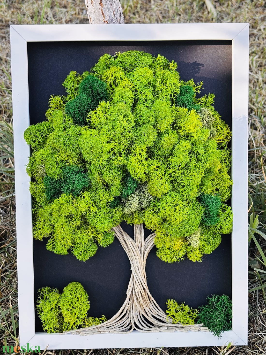 Elő stabilizált, Gondozásmentes moha, Zuzmó kép 21x30cm!  - otthon & életmód - dekoráció - fali és függő dekoráció - zuzmókép, mohakép - Meska.hu