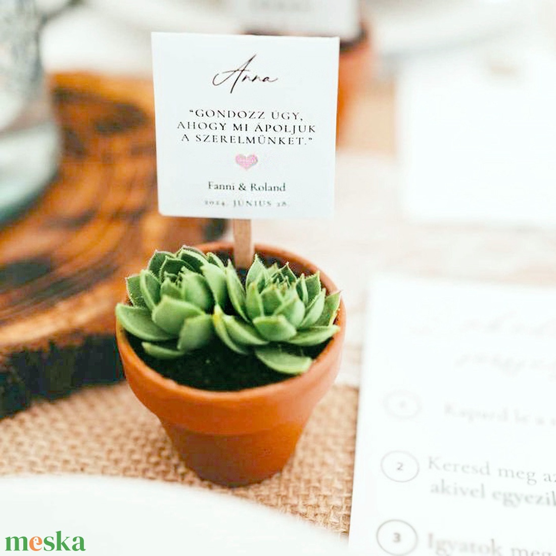 Kövirózsa mini cserépben - esküvő - emlék & ajándék - köszönőajándék - Meska.hu