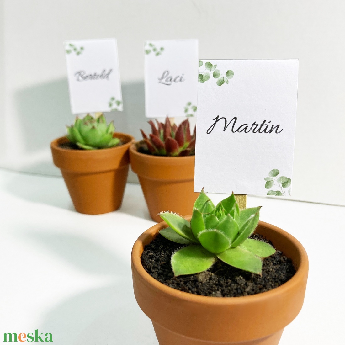 Kövirózsa mini cserépben - esküvő - emlék & ajándék - köszönőajándék - Meska.hu