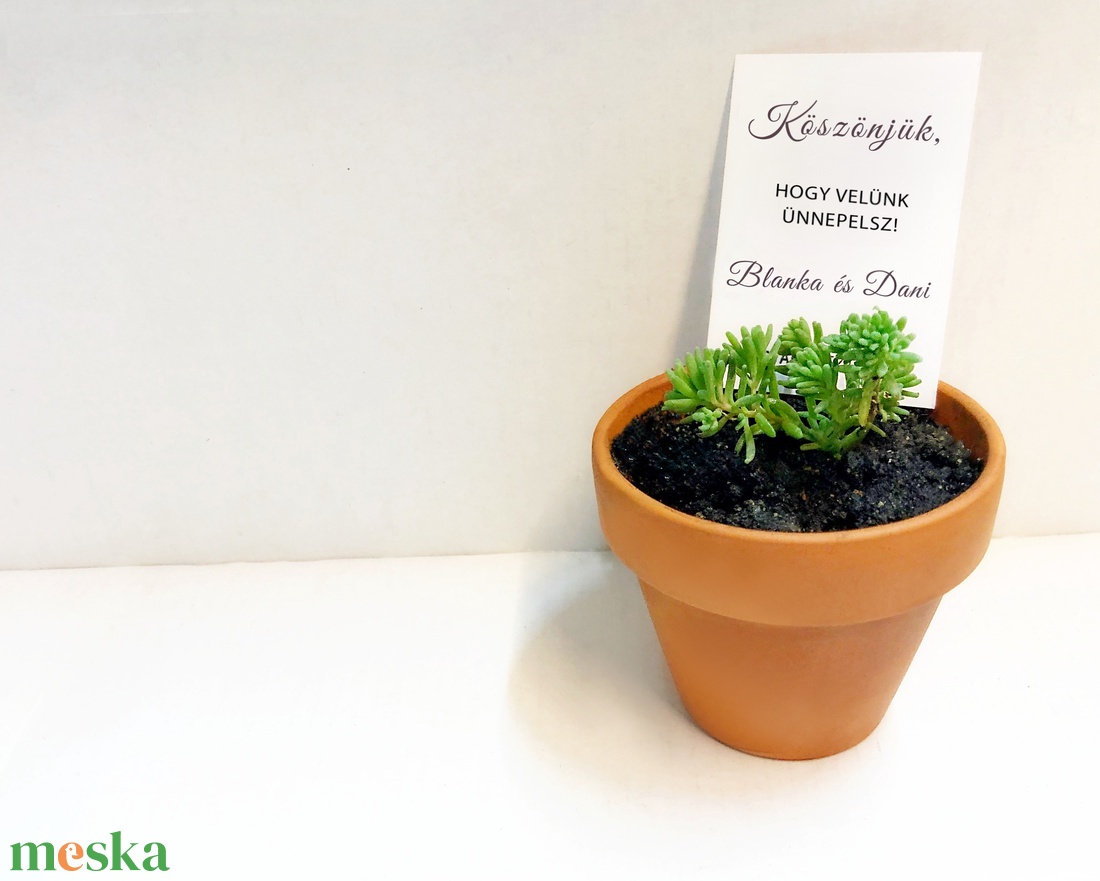Pozsgások mini cserépben - esküvő - emlék & ajándék - köszönőajándék - Meska.hu