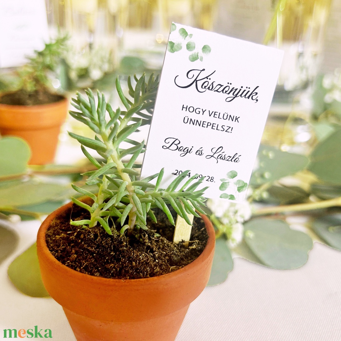 Pozsgások mini cserépben - esküvő - emlék & ajándék - köszönőajándék - Meska.hu