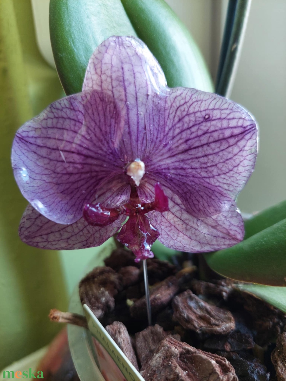 Egy érintésnyi tavasz orchidea kitűző - ékszer - kitűző és bross - kitűző - Meska.hu Egy érintésnyi tavasz orchidea kitűző - ékszer - kitűző és bross - kitűző - Meska.hu