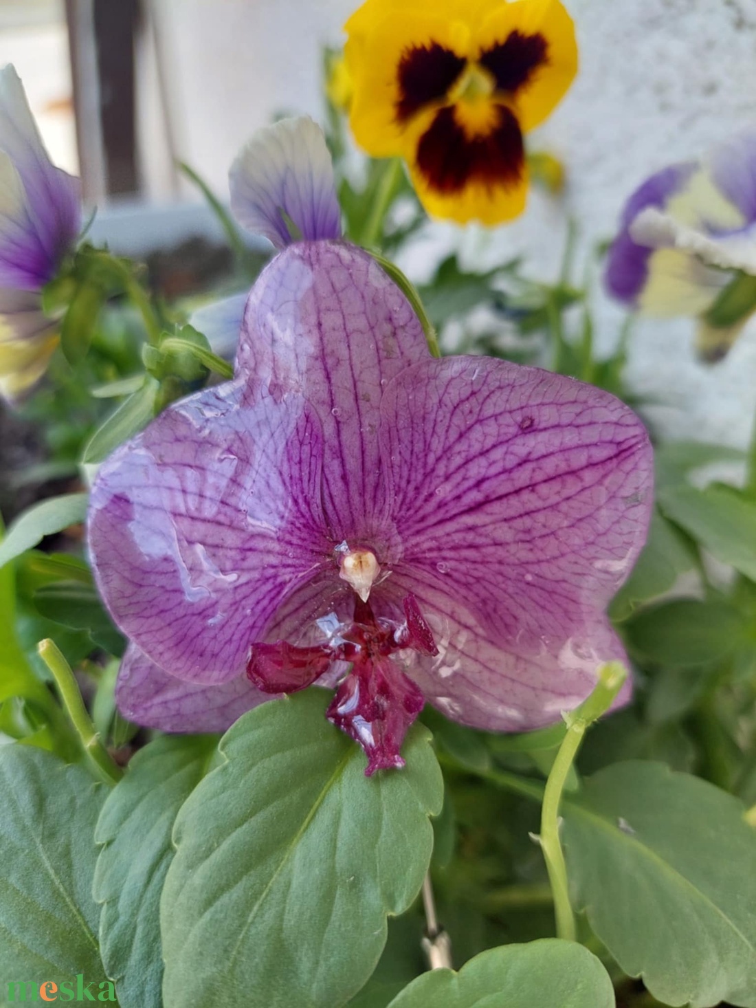 Egy érintésnyi tavasz orchidea kitűző - ékszer - kitűző és bross - kitűző - Meska.hu Egy érintésnyi tavasz orchidea kitűző - ékszer - kitűző és bross - kitűző - Meska.hu