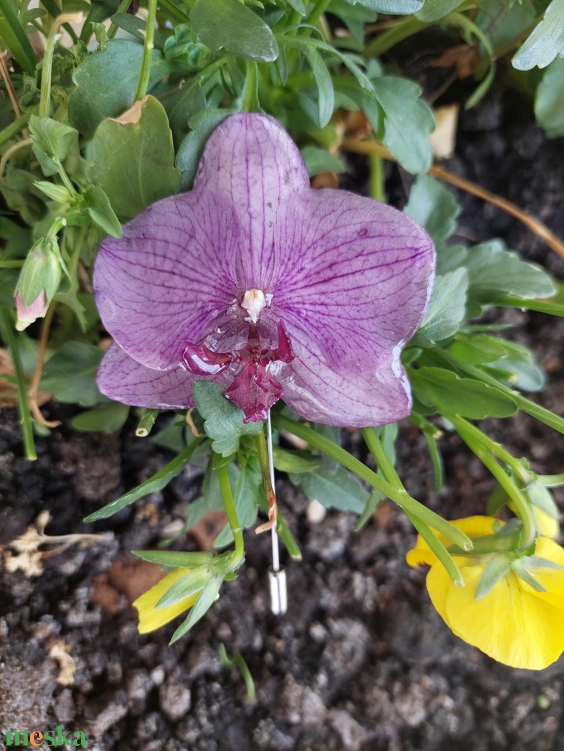 Egy érintésnyi tavasz orchidea kitűző - ékszer - kitűző és bross - kitűző - Meska.hu Egy érintésnyi tavasz orchidea kitűző - ékszer - kitűző és bross - kitűző - Meska.hu