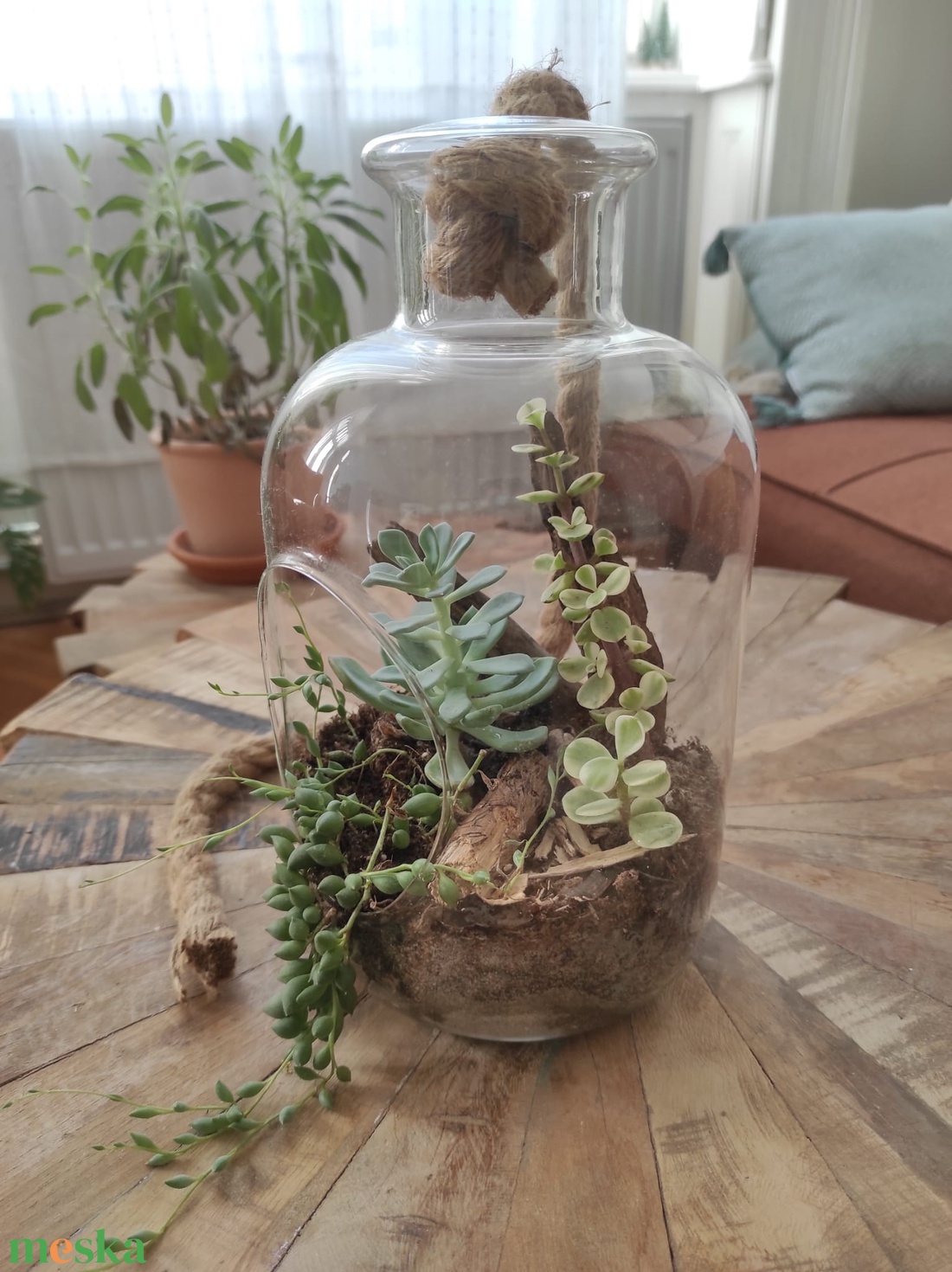 Bohém Sivatagi Kert � Függeszthető üvegterrárium pozsgásokkal - otthon & életmód - dekoráció - asztal és polc dekoráció - florárium, terrárium - Meska.hu