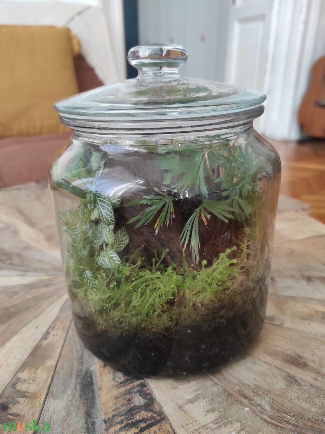 Mini dzsungel florárium - Zárt ökoszisztéma párakedvelő növényekkel - otthon & életmód - dekoráció - asztal és polc dekoráció - florárium, terrárium - Meska.hu