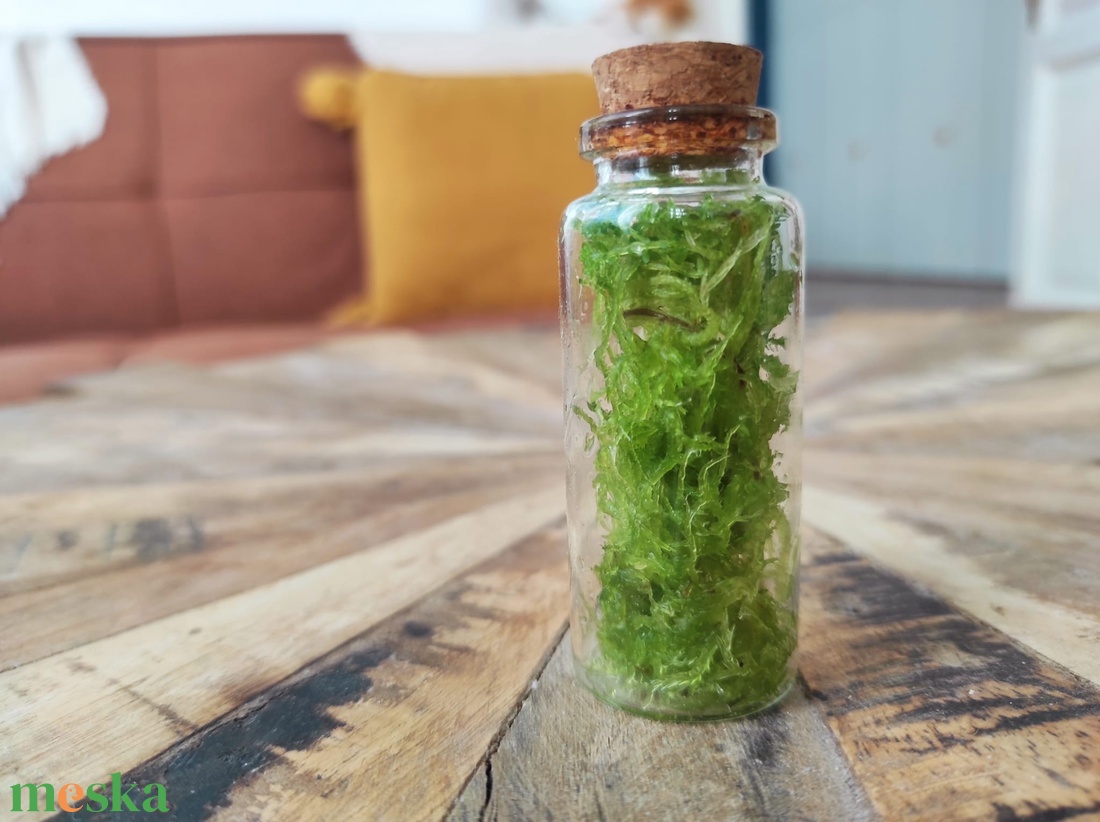 Természet-kapszula � Kézműves mini florárium ajándékkísérőnek - otthon & életmód - dekoráció - asztal és polc dekoráció - florárium, terrárium - Meska.hu