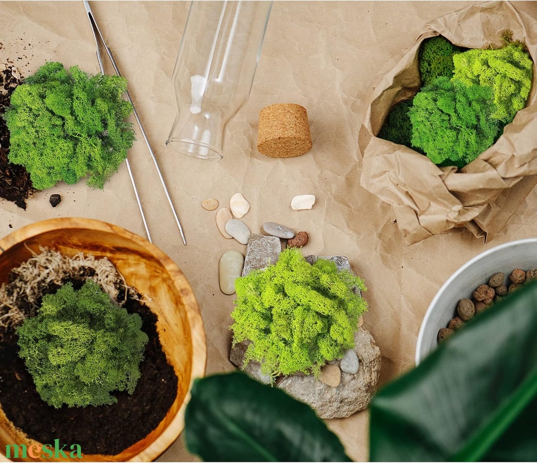 Izlandi zuzmó moha valódi tartósított 500 g moss alapanyag nr.002 - otthon & életmód - dekoráció - asztal és polc dekoráció - dekorációs tál, tartó - Meska.hu Izlandi zuzmó moha valódi tartósított 500 g moss alapanyag nr.002 - otthon & életmód - dekoráció - asztal és polc dekoráció - dekorációs tál, tartó - Meska.hu
