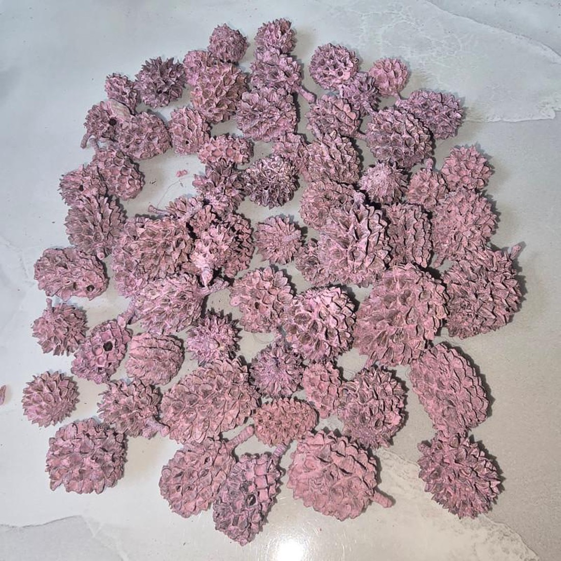 Casuarina - falfestékes mályva 5 dkg - kellékek & szerszámok - dekorációs kellékek - termések, terméscsomagok - Meska.hu