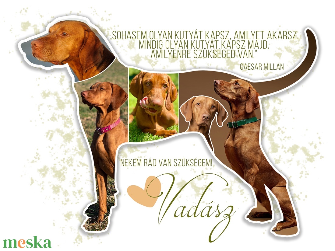 Fotókollázs vizsla sziluettel. Vizslás fotókollázs kutyád képeivel. Magyar vizsla. Német vizsla. Pointer. - művészet - kollázs - Meska.hu