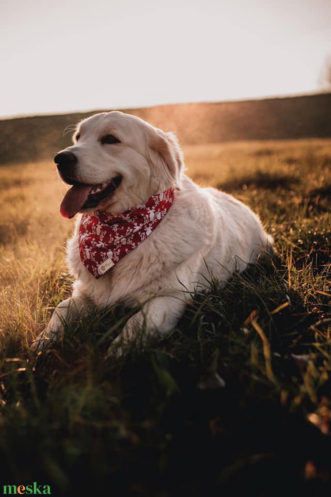 Karácsonyi bandana kutyáknak - karácsony - karácsonyi ruházat - Meska.hu Karácsonyi bandana kutyáknak - karácsony - karácsonyi ruházat - Meska.hu