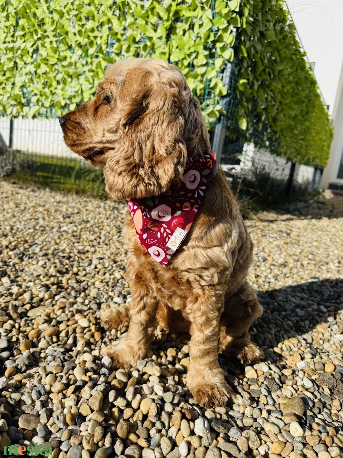 Hello ősz bandana/kendő kutyáknak -  - Meska.hu