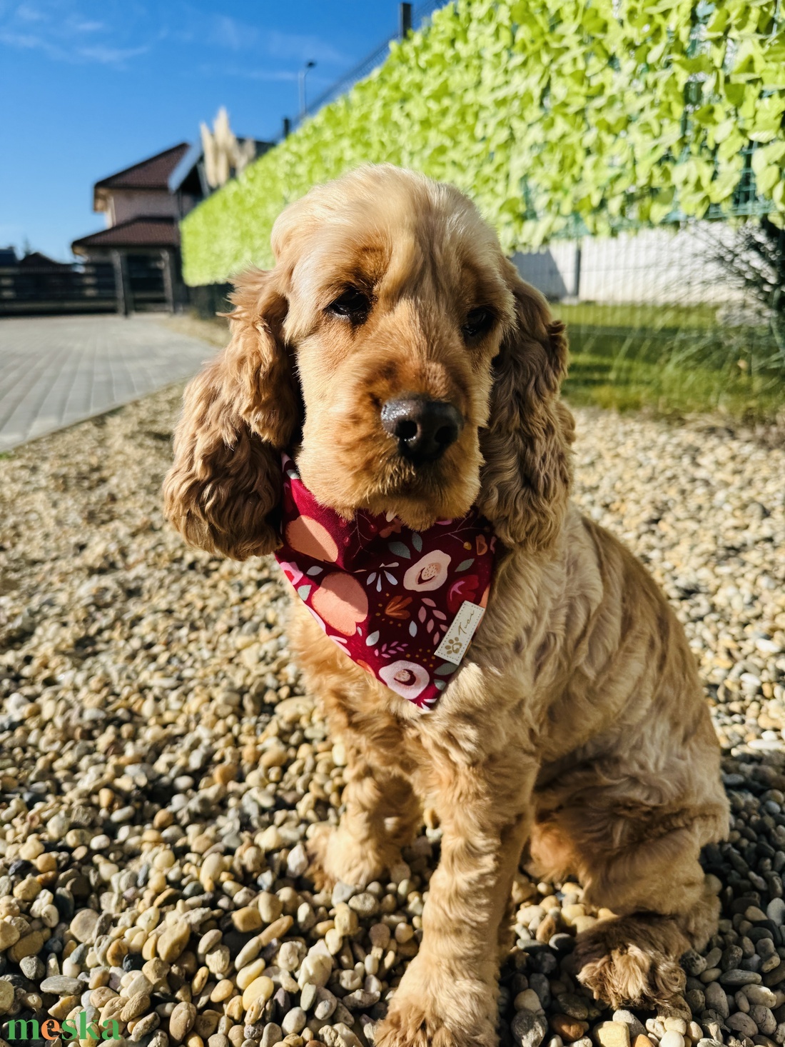 Hello ősz bandana/kendő kutyáknak -  - Meska.hu