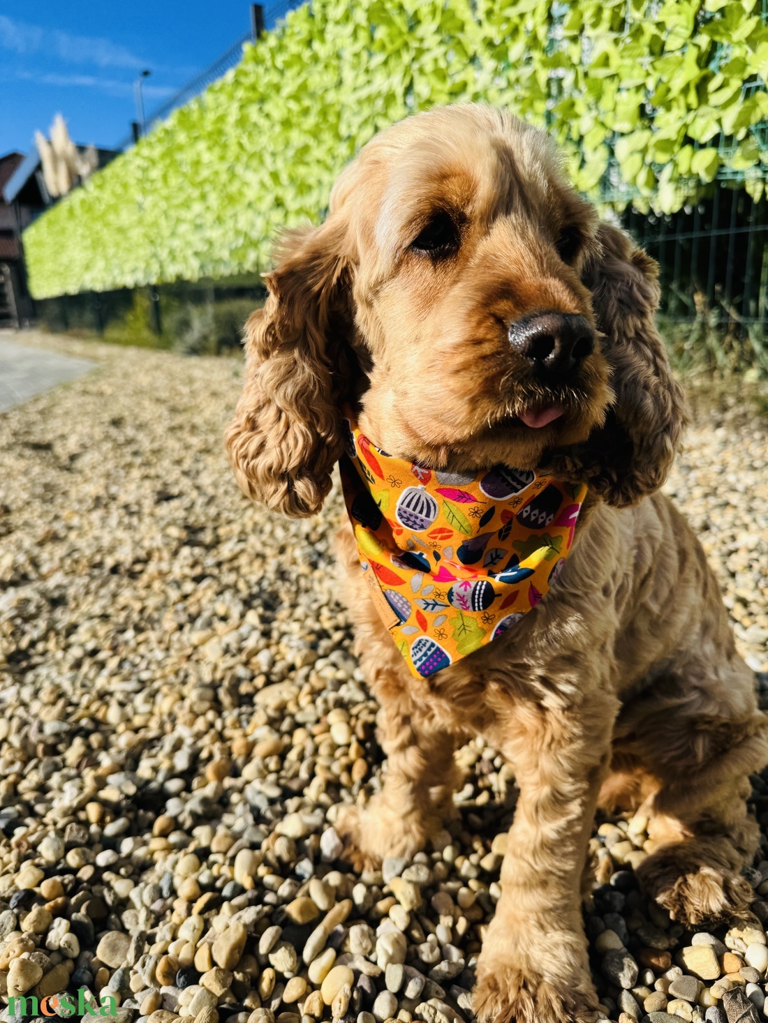 Séta az őszben bandana/kendő kutyáknak -  - Meska.hu