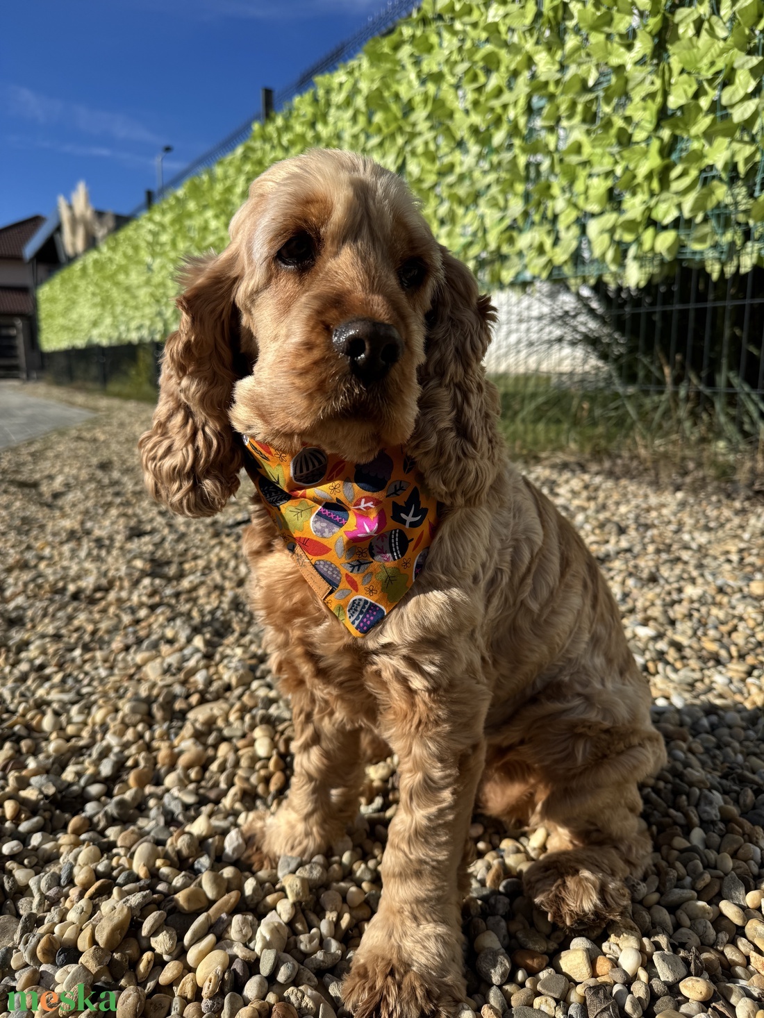 Séta az őszben bandana/kendő kutyáknak -  - Meska.hu