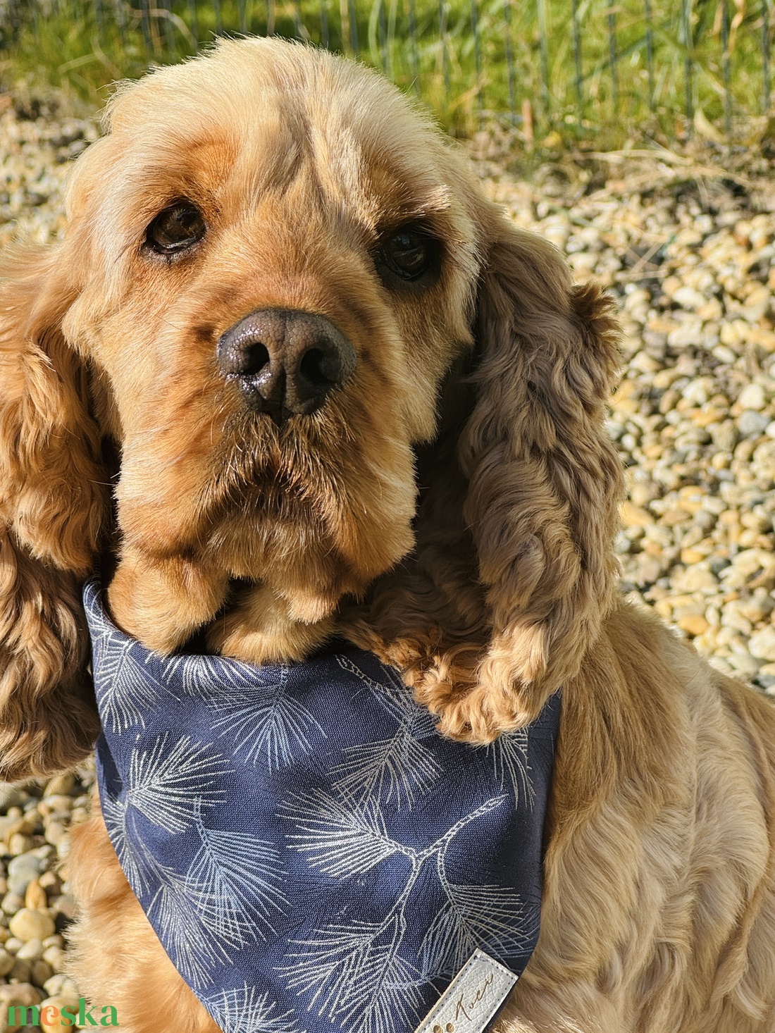 Csendes éj karácsonyi bandana/kendő kutyáknak -  - Meska.hu