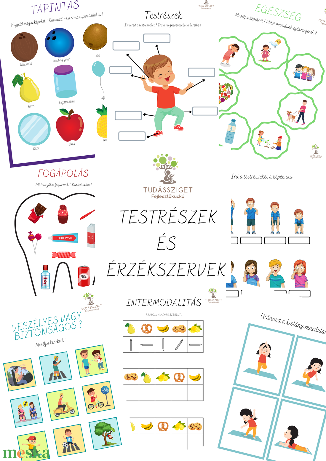 Testrészek és érzékszervek - játék & sport - készségfejlesztő és logikai játék - oktató játékok - Meska.hu Testrészek és érzékszervek - játék & sport - készségfejlesztő és logikai játék - oktató játékok - Meska.hu