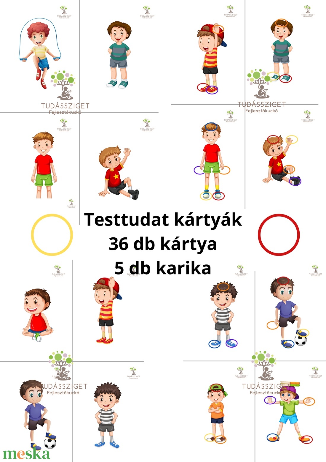 Testtudat kártyák - játék & sport - készségfejlesztő és logikai játék - oktató játékok - Meska.hu