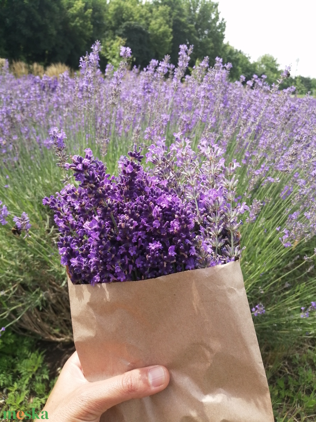 Levendula illóolaj - kellékek & szerszámok - kozmetikai alapanyag - illóolajok - Meska.hu