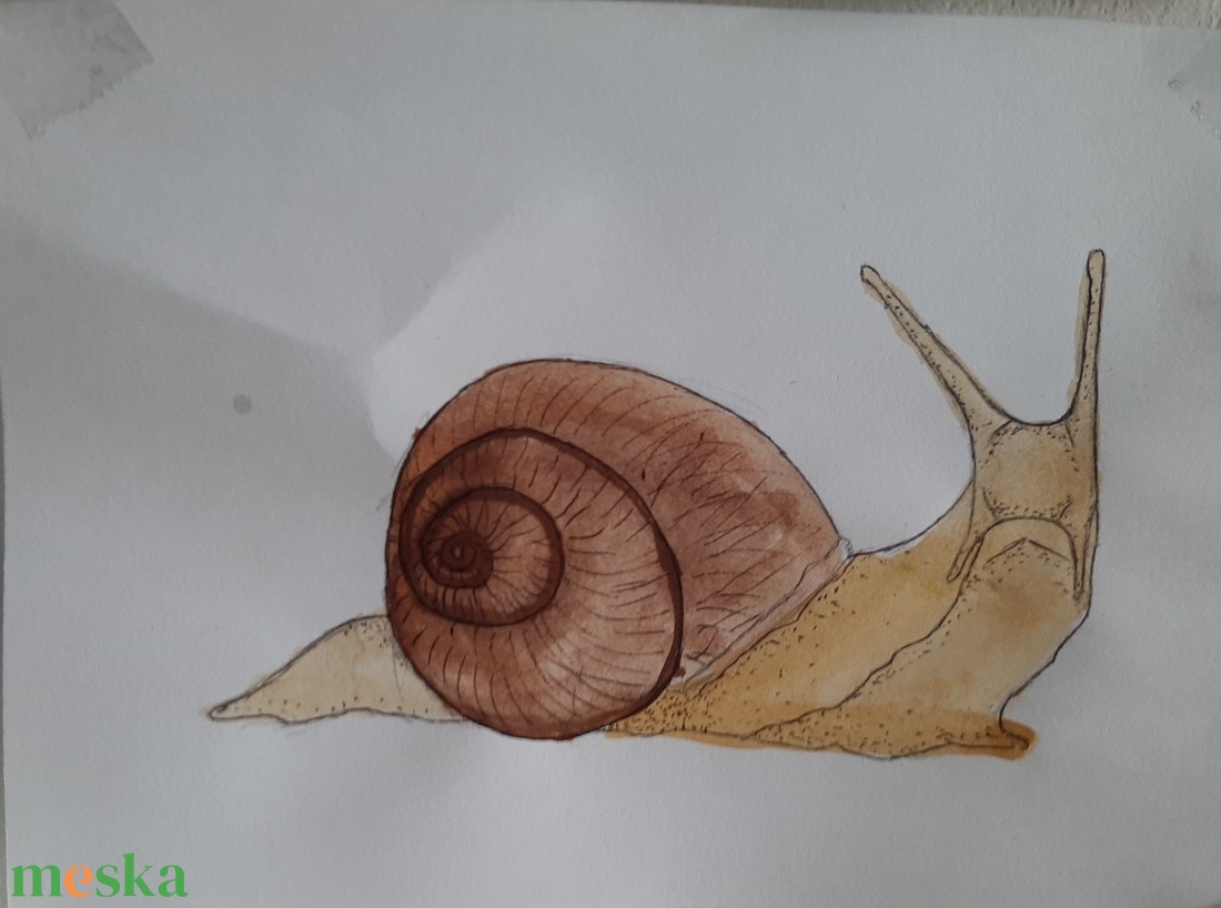 Csiga - művészet - festmény - festmény vegyes technika - Meska.hu
