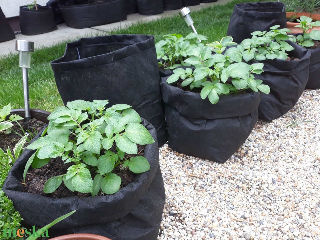 (3 db/cs) Ültető zsák paradicsom, paprika, uborka, tök, stb, és burgonya termesztéséhez/ 30 átmérőjű, 55 cm magas  /   - otthon & életmód - ház & kert - növény & veteményes - Meska.hu