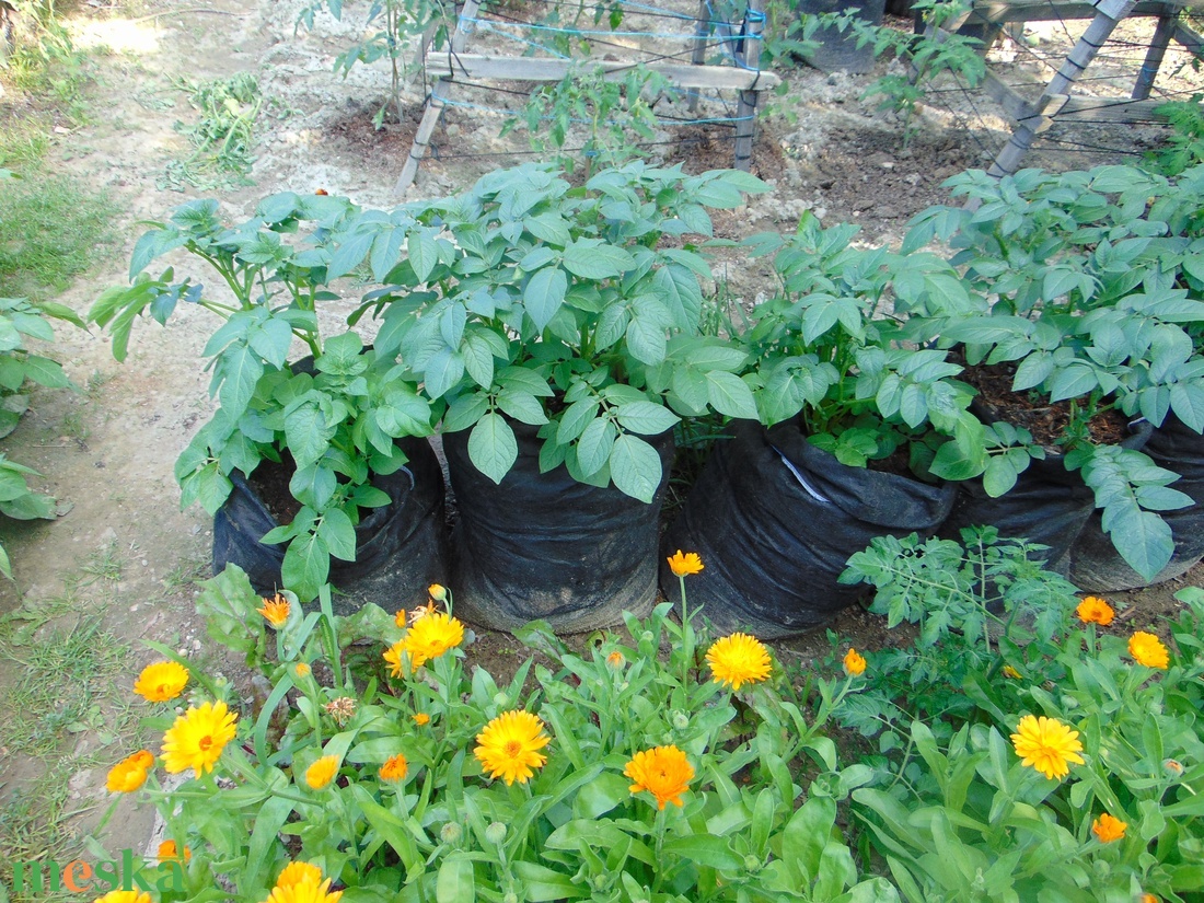 (5 db/cs) Ültető zsák 30 cm átmérőjű x 55 cm magas/ burgonya termesztéséhez  - otthon & életmód - ház & kert - növény & veteményes - Meska.hu