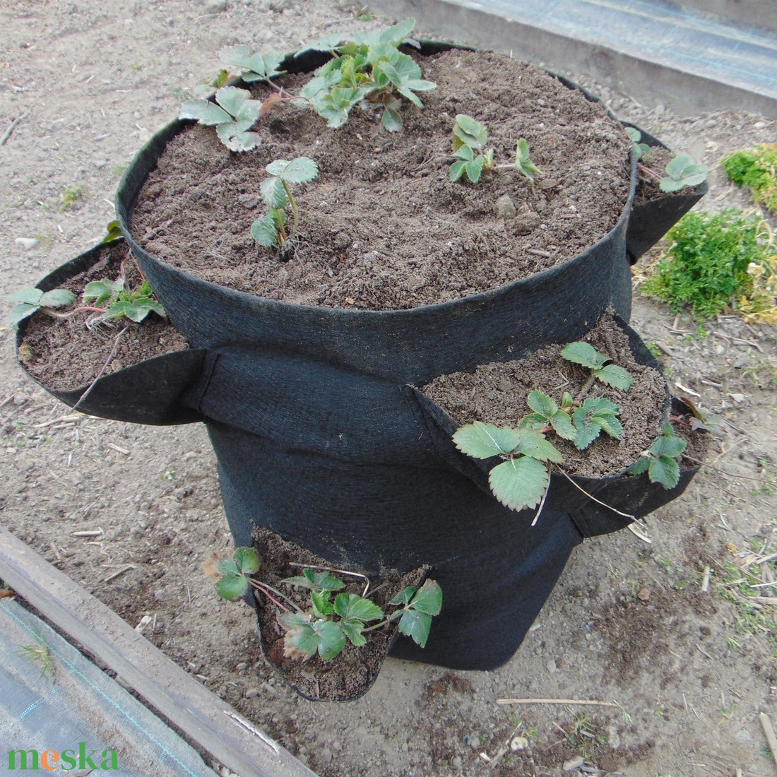 Ültető zsák - zsebes, 40 cm átmérőjű, 55 cm magas / eper, saláta, fűszernövények, virágok termesztéséhez - otthon & életmód - ház & kert - virágláda, balkonláda - Meska.hu Ültető zsák - zsebes, 40 cm átmérőjű, 55 cm magas / eper, saláta, fűszernövények, virágok termesztéséhez - otthon & életmód - ház & kert - virágláda, balkonláda - Meska.hu