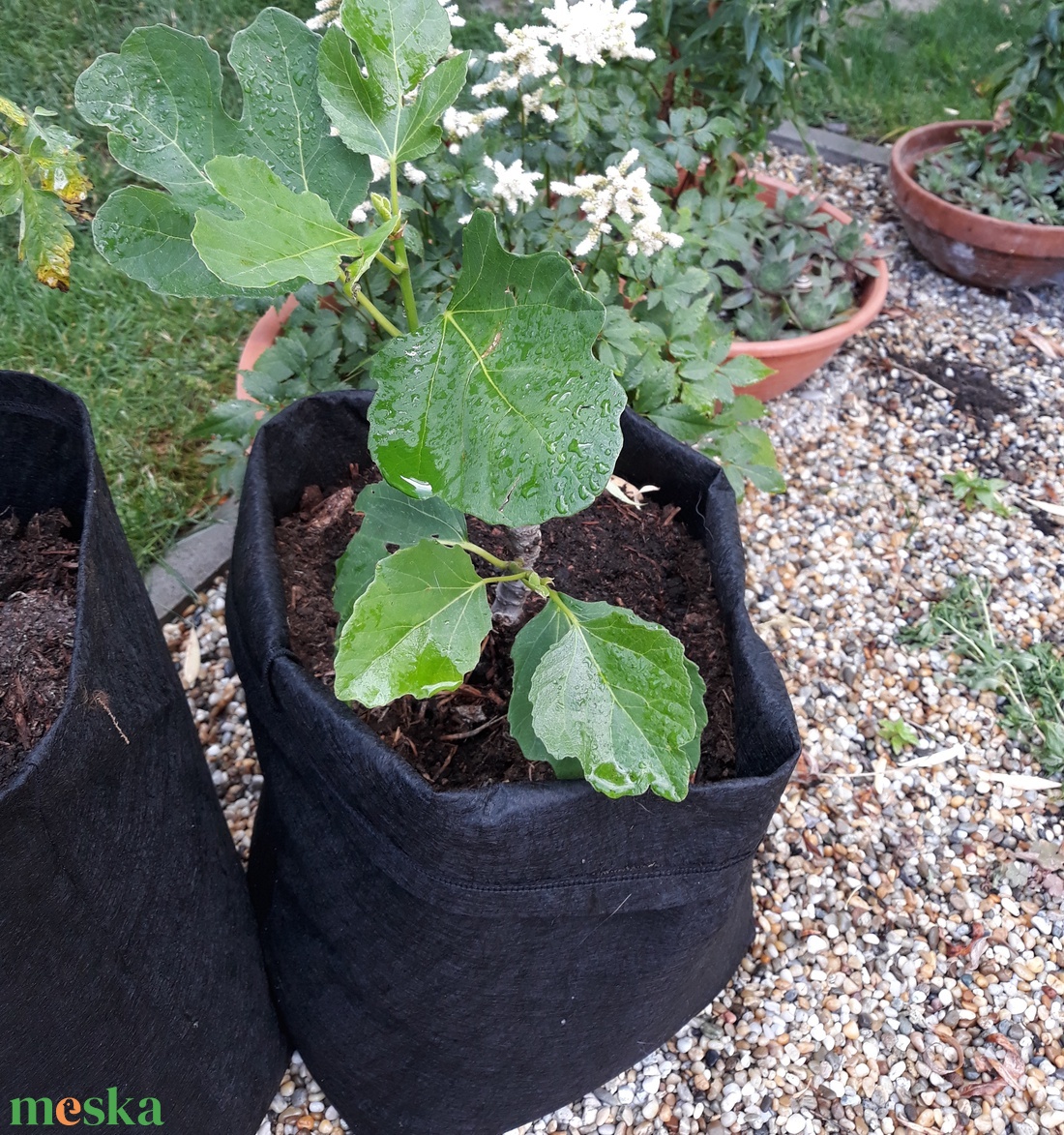 Ültető zsák 30 cm átmérőjű, 35 cm magas / saláta, uborka, tök, padlizsán, stb. termesztéséhez  - otthon & életmód - ház & kert - növény & veteményes - Meska.hu