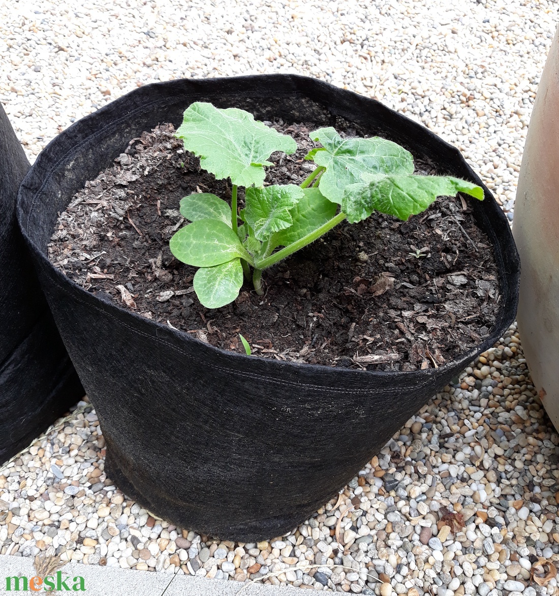 Ültető zsák 30 cm átmérőjű, 25 cm magas / eper, saláta, uborka, fűszerek, stb. termesztéséhez - otthon & életmód - ház & kert - növény & veteményes - Meska.hu Ültető zsák 30 cm átmérőjű, 25 cm magas / eper, saláta, uborka, fűszerek, stb. termesztéséhez - otthon & életmód - ház & kert - növény & veteményes - Meska.hu
