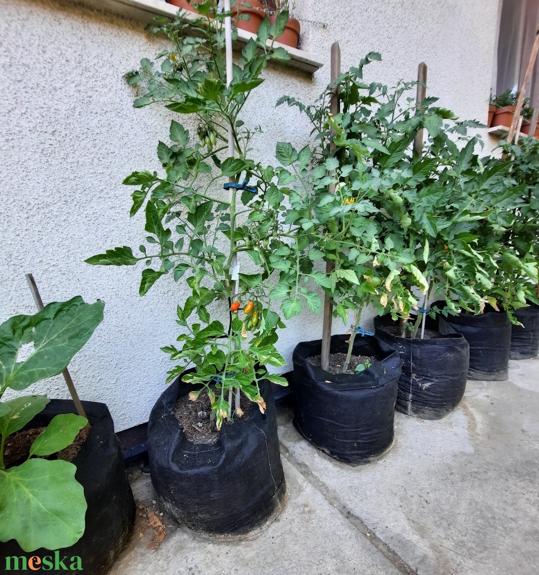 (5 db/cs) Ültető zsák 35 cm átmérőjű, 45 cm magas/ paradicsom, tök, padlizsán, uborka, saláta, stb. termesztéséhez - otthon & életmód - ház & kert - növény & veteményes - Meska.hu (5 db/cs) Ültető zsák 35 cm átmérőjű, 45 cm magas/ paradicsom, tök, padlizsán, uborka, saláta, stb. termesztéséhez - otthon & életmód - ház & kert - növény & veteményes - Meska.hu