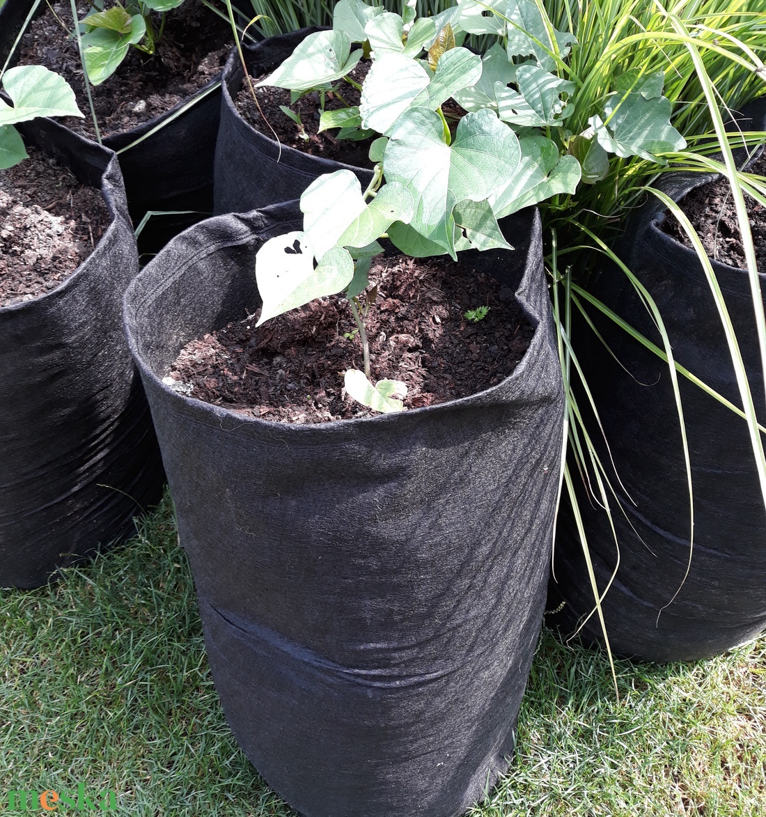 (5 db/cs) Ültető zsák 30 cm átmérőjű x 70 cm magas / burgonya és édesburgonya termesztéséhez - otthon & életmód - ház & kert - ültetőzsák - Meska.hu