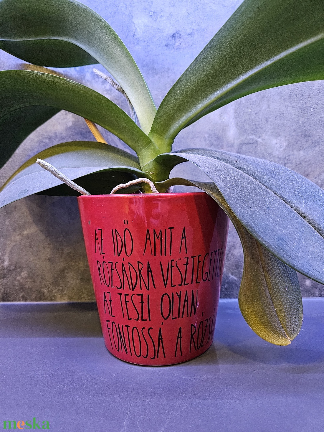 Kisherceges kaspó - otthon & életmód - dekoráció - virágdísz és tartó - cserép & kaspó - Meska.hu