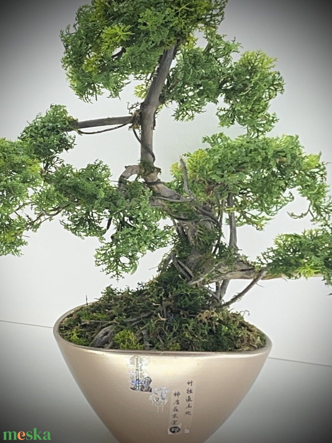 Valósághű bonsai fa - otthon & életmód - dekoráció - asztal és polc dekoráció - bonsai - Meska.hu