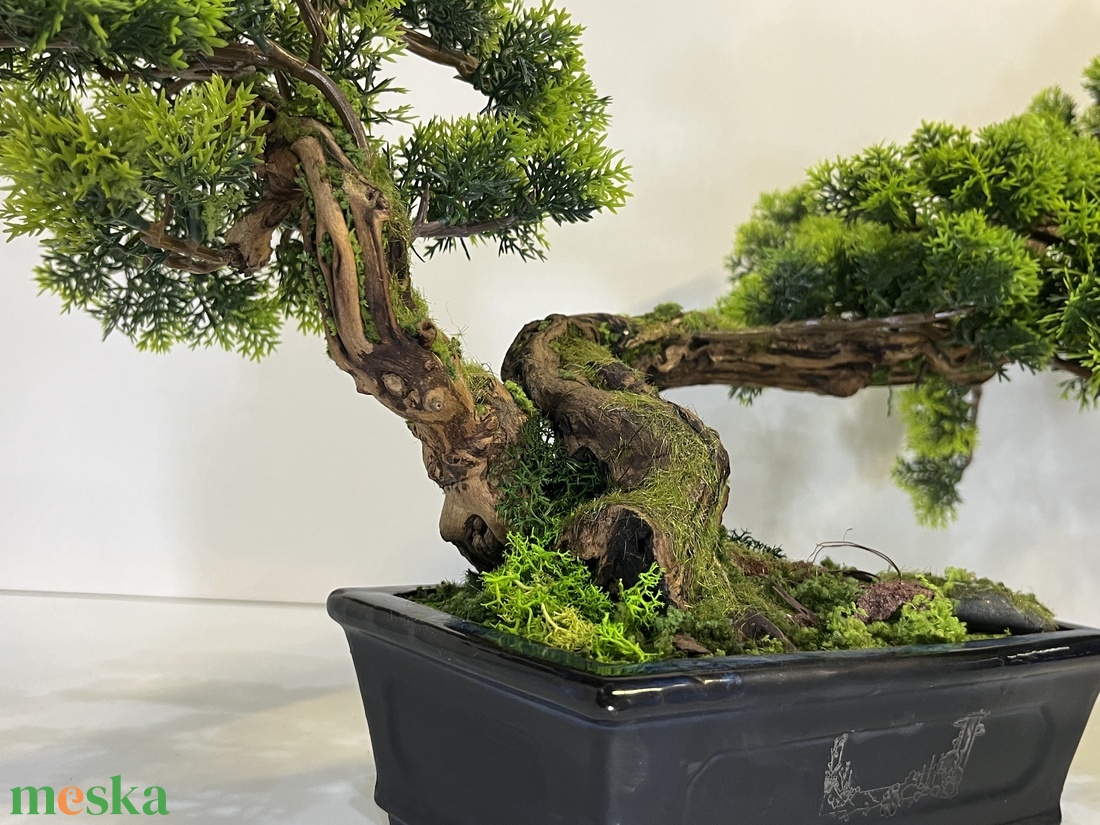 Valósághű cédrus bonsai fa - otthon & életmód - dekoráció - asztal és polc dekoráció - bonsai - Meska.hu