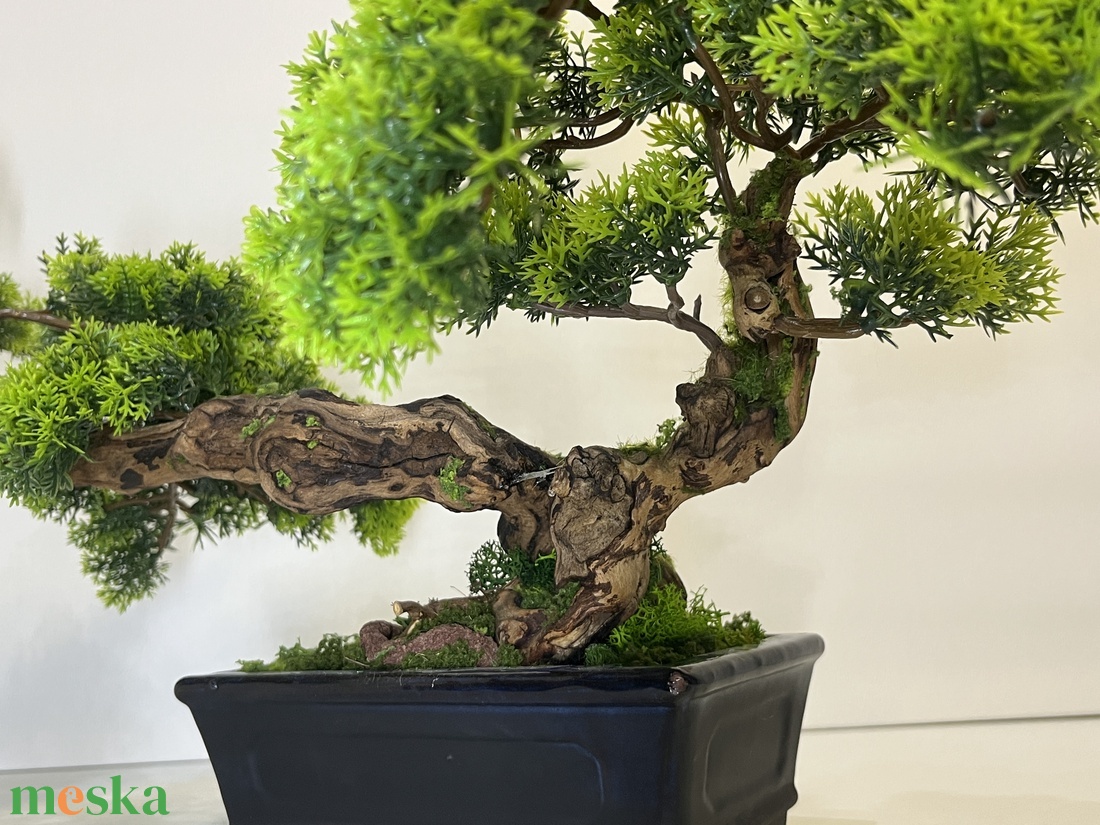 Valósághű cédrus bonsai fa - otthon & életmód - dekoráció - asztal és polc dekoráció - bonsai - Meska.hu