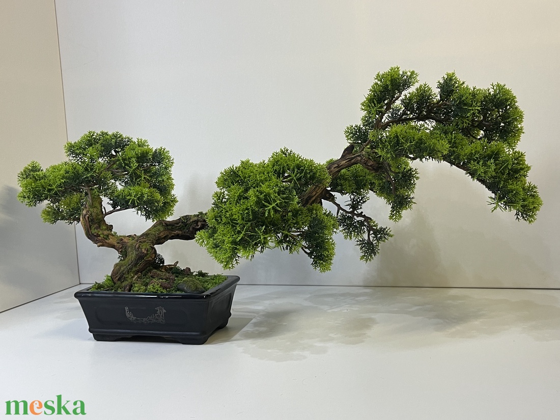 Valósághű cédrus bonsai fa - otthon & életmód - dekoráció - asztal és polc dekoráció - bonsai - Meska.hu
