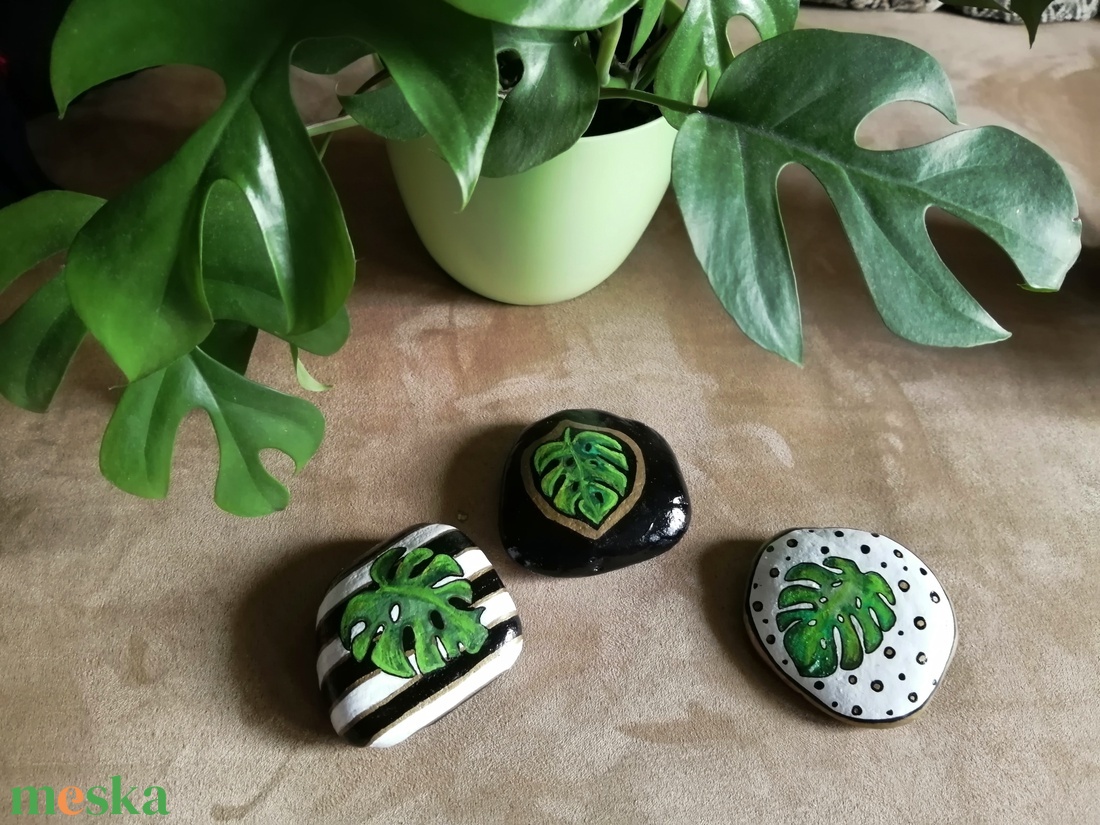 monstera festett kavics - művészet - festmény - akril - Meska.hu