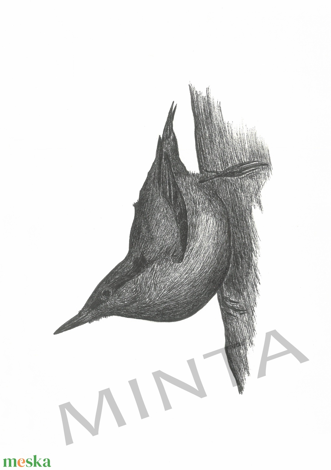 Csuszka tollrajz - művészet - grafika & illusztráció - egyéb rajzok - Meska.hu