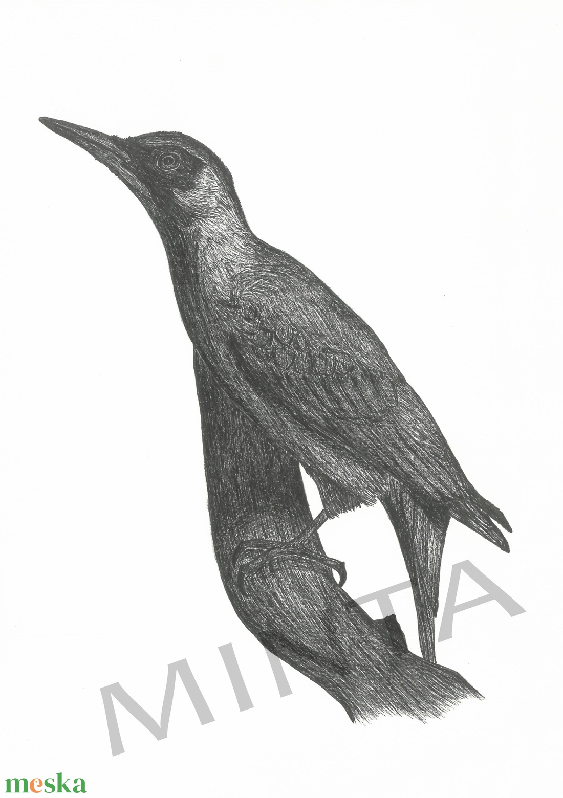 Zöld küllő tollrajz - művészet - grafika & illusztráció - egyéb rajzok - Meska.hu