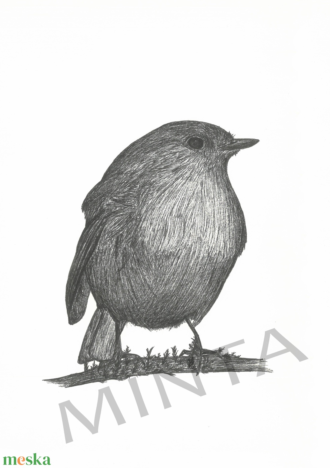 Vörösbegy tollrajz - művészet - grafika & illusztráció - egyéb rajzok - Meska.hu